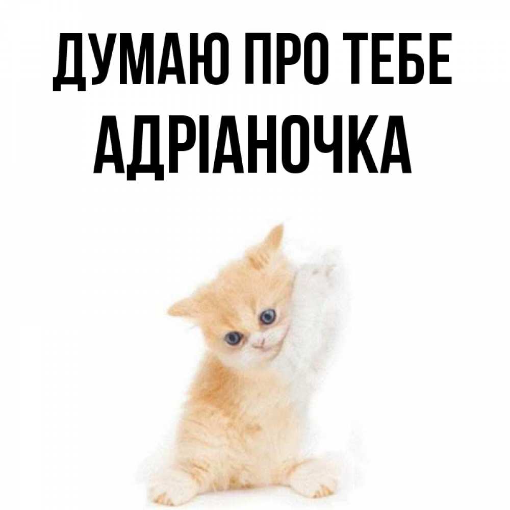 Открытка на каждый день з підписом, Адріаночка Думаю про тебе зверушки и милота Прикольна листівка з побажанням онлайн скачати безкоштовно 