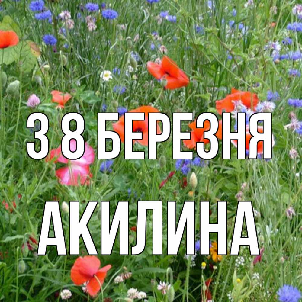Открытка на каждый день з підписом, Акилина З 8 БЕРЕЗНЯ международный женский день 4 Прикольна листівка з побажанням онлайн скачати безкоштовно 