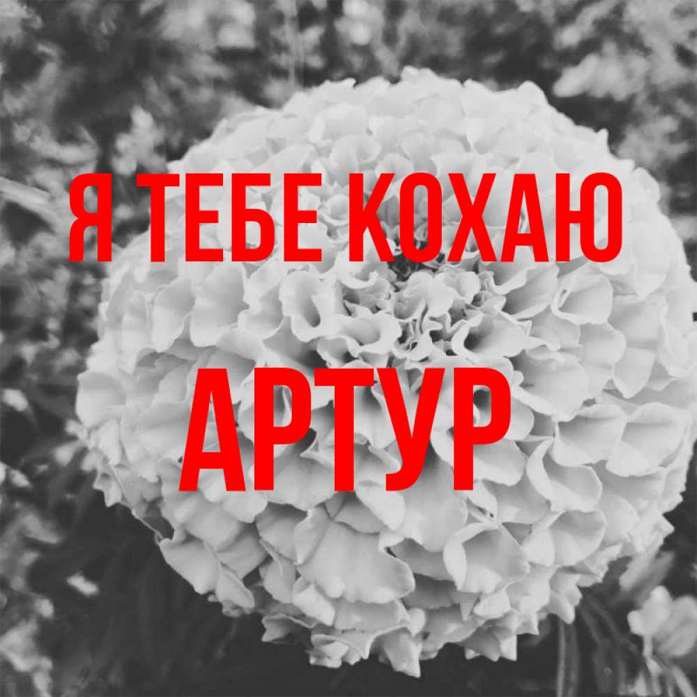 Открытка на каждый день з підписом, Артур Я тебе кохаю подпись Прикольна листівка з побажанням онлайн скачати безкоштовно 