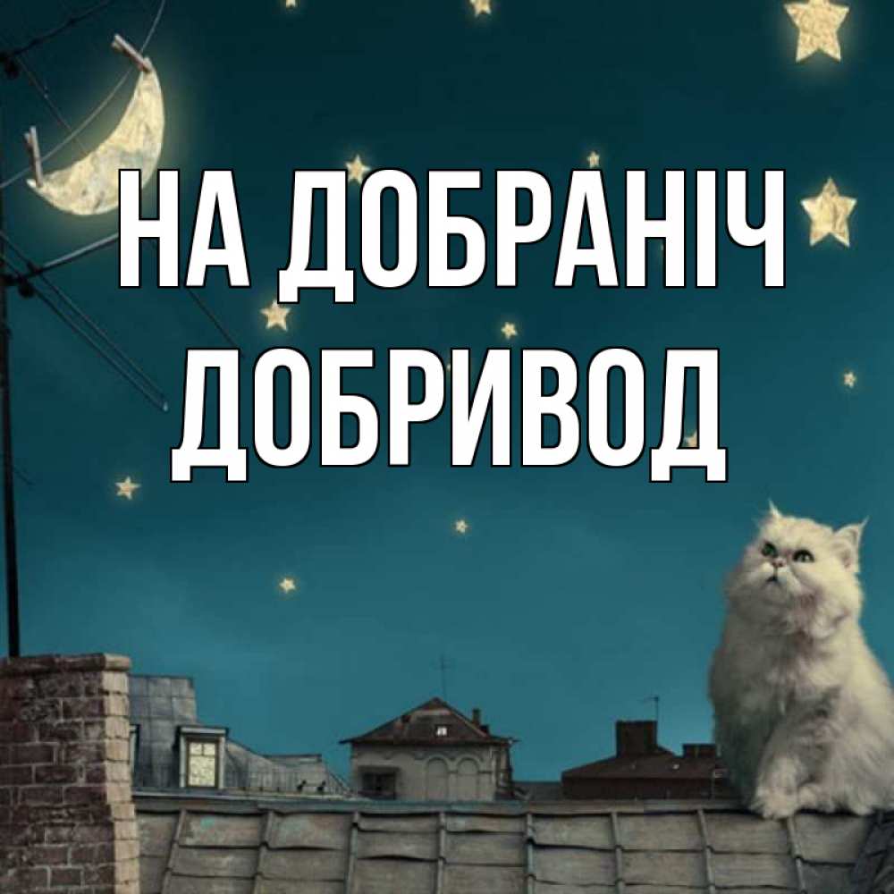 Открытка на каждый день з підписом, Добривод На добраніч белый кот сидит на крыше Прикольна листівка з побажанням онлайн скачати безкоштовно 