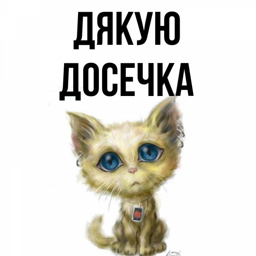 Открытка на каждый день з підписом, Досечка Дякую рисованный кот благодарит вас Прикольна листівка з побажанням онлайн скачати безкоштовно 