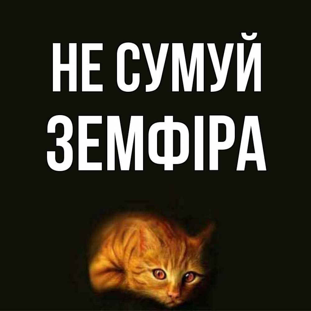 Открытка на каждый день з підписом, Земфіра Не сумуй лежащий кот в темноте Прикольна листівка з побажанням онлайн скачати безкоштовно 