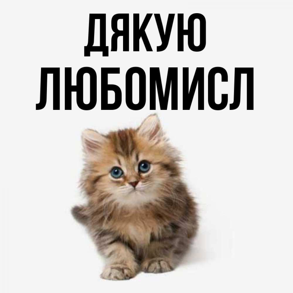 Открытка на каждый день з підписом, Любомисл Дякую пушистый котик Прикольна листівка з побажанням онлайн скачати безкоштовно 