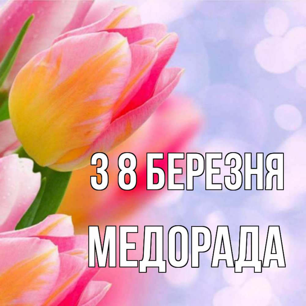 Открытка на каждый день з підписом, Медорада З 8 БЕРЕЗНЯ тюльпаны 2 Прикольна листівка з побажанням онлайн скачати безкоштовно 