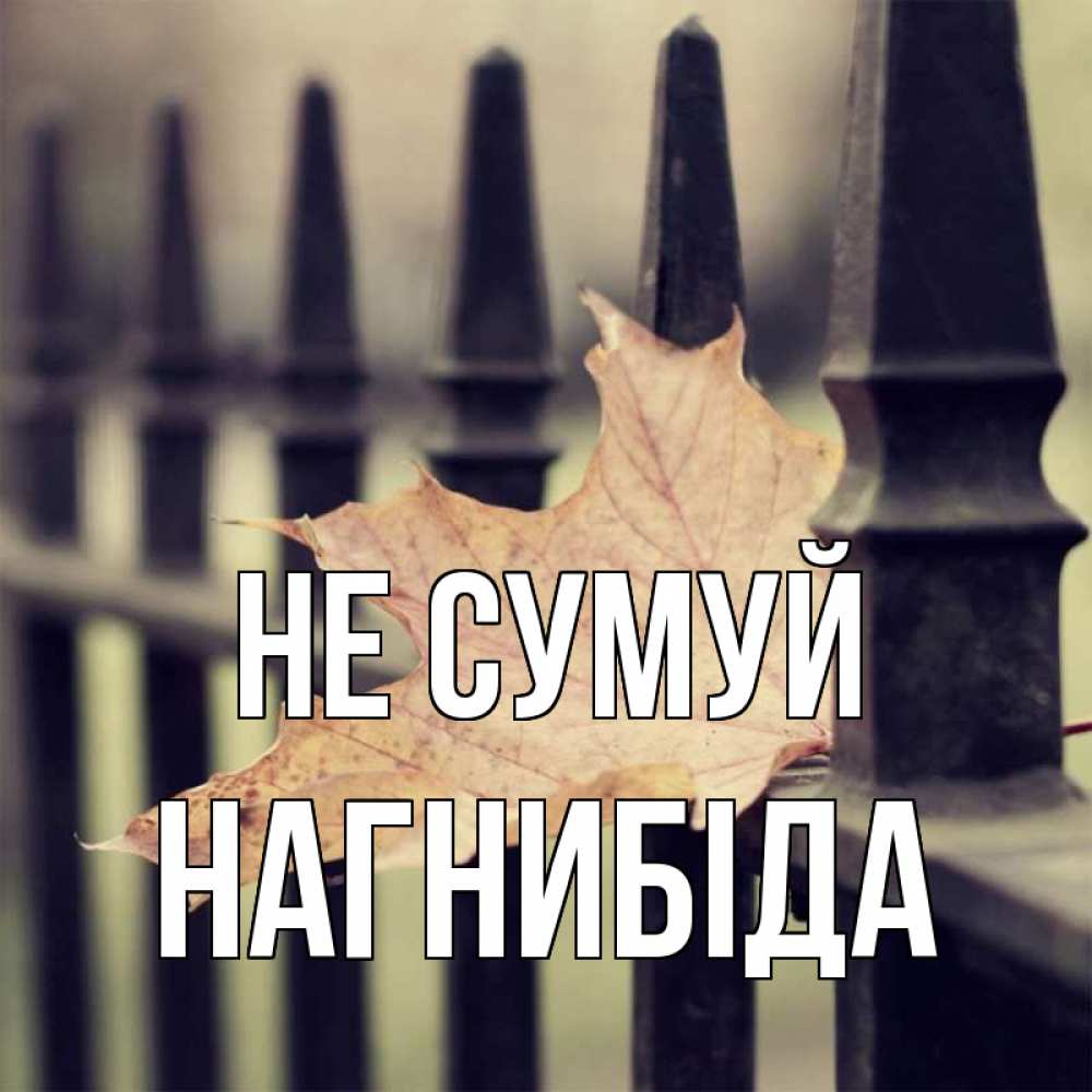 Открытка на каждый день з підписом, Нагнибіда Не сумуй лист клена Прикольна листівка з побажанням онлайн скачати безкоштовно 