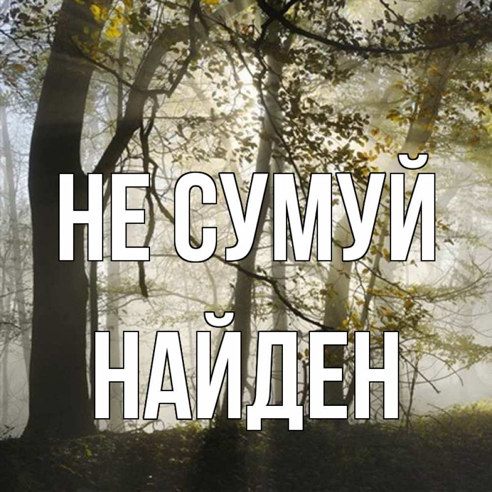 Открытка на каждый день з підписом, Найден Не сумуй лес и свет Прикольна листівка з побажанням онлайн скачати безкоштовно 