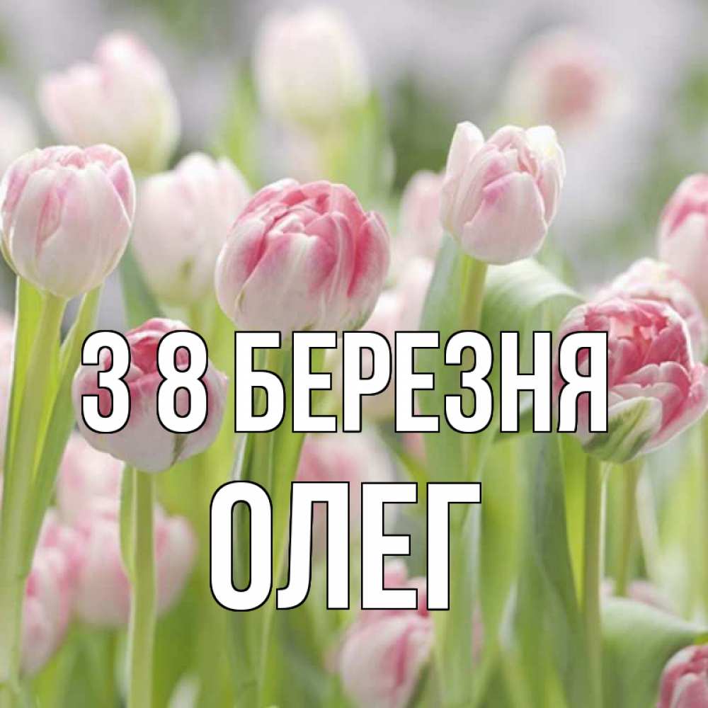 Открытка на каждый день з підписом, Олег З 8 БЕРЕЗНЯ цветы Прикольна листівка з побажанням онлайн скачати безкоштовно 