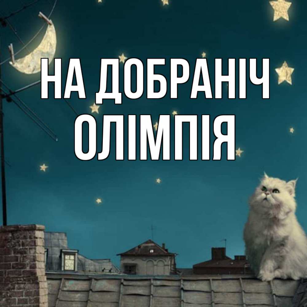 Открытка на каждый день з підписом, Олімпія На добраніч белый кот сидит на крыше Прикольна листівка з побажанням онлайн скачати безкоштовно 