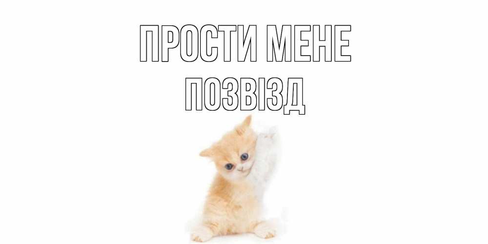 Открытка на каждый день з підписом, Позвізд Прости мене кот Прикольна листівка з побажанням онлайн скачати безкоштовно 