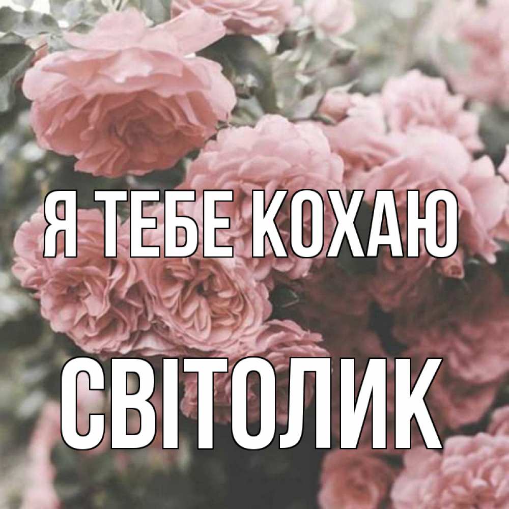 Открытка на каждый день з підписом, Світолик Я тебе кохаю розы 3 Прикольна листівка з побажанням онлайн скачати безкоштовно 