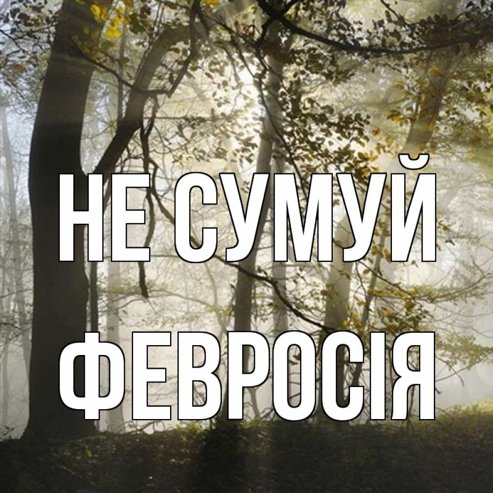 Открытка на каждый день з підписом, Февросія Не сумуй лес и свет Прикольна листівка з побажанням онлайн скачати безкоштовно 