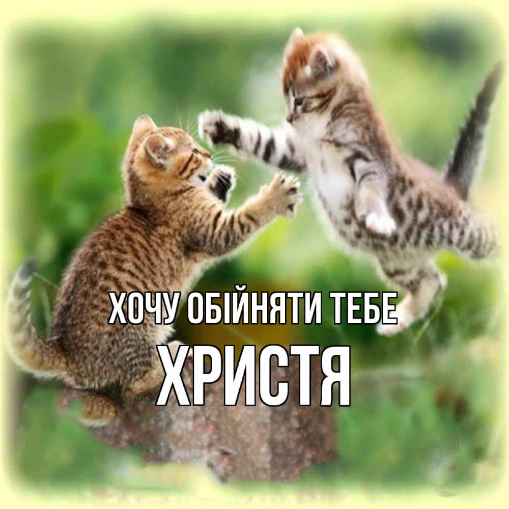 Открытка на каждый день з підписом, Христя Хочу обійняти тебе игры котят Прикольна листівка з побажанням онлайн скачати безкоштовно 