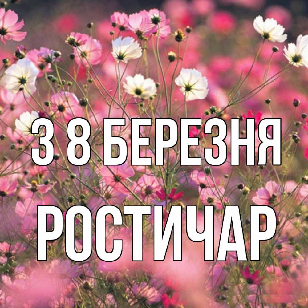 Открытка на каждый день з підписом, Ростичар З 8 БЕРЕЗНЯ красиво 1 Прикольна листівка з побажанням онлайн скачати безкоштовно 