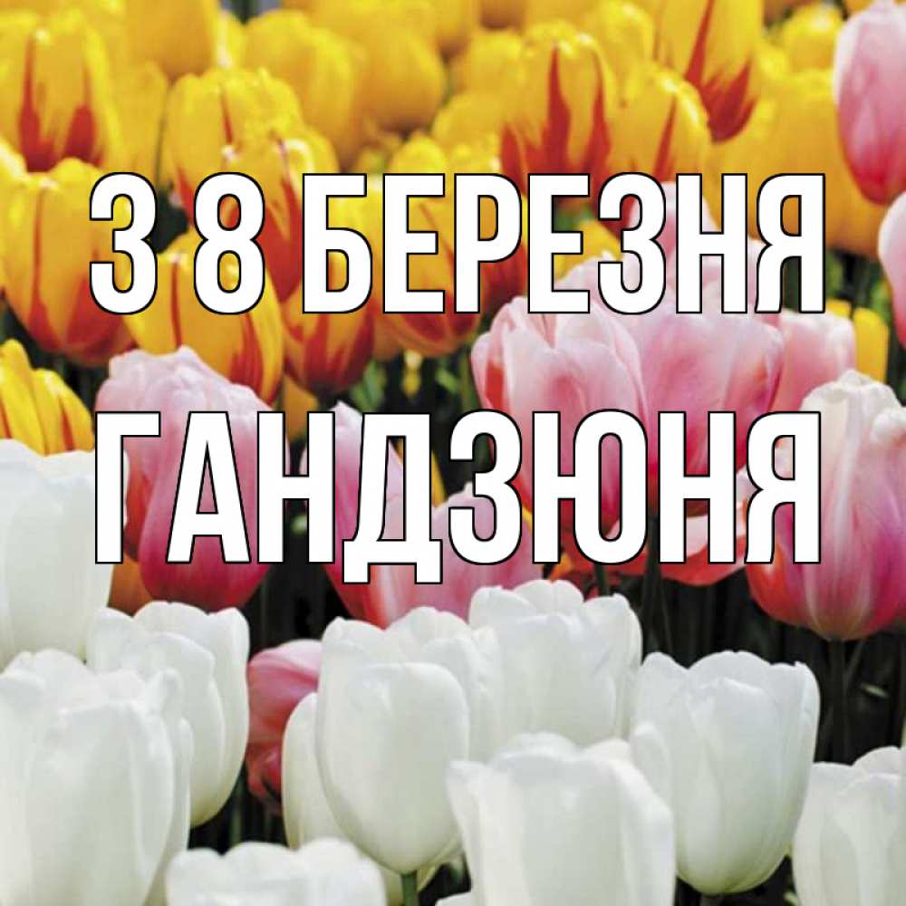 Открытка на каждый день з підписом, Гандзюня З 8 БЕРЕЗНЯ разноцветные цветы Прикольна листівка з побажанням онлайн скачати безкоштовно 
