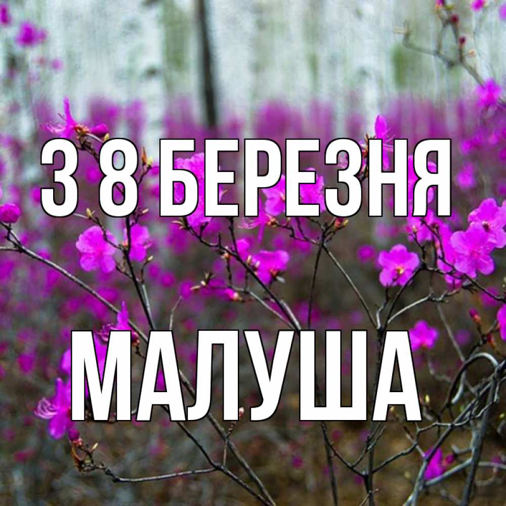 Открытка на каждый день з підписом, Малуша З 8 БЕРЕЗНЯ дикие цветы Прикольна листівка з побажанням онлайн скачати безкоштовно 