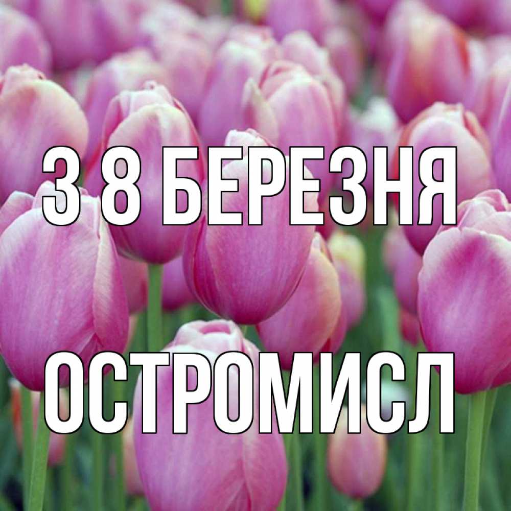 Открытка на каждый день з підписом, Остромисл З 8 БЕРЕЗНЯ на международный женский день 3 Прикольна листівка з побажанням онлайн скачати безкоштовно 