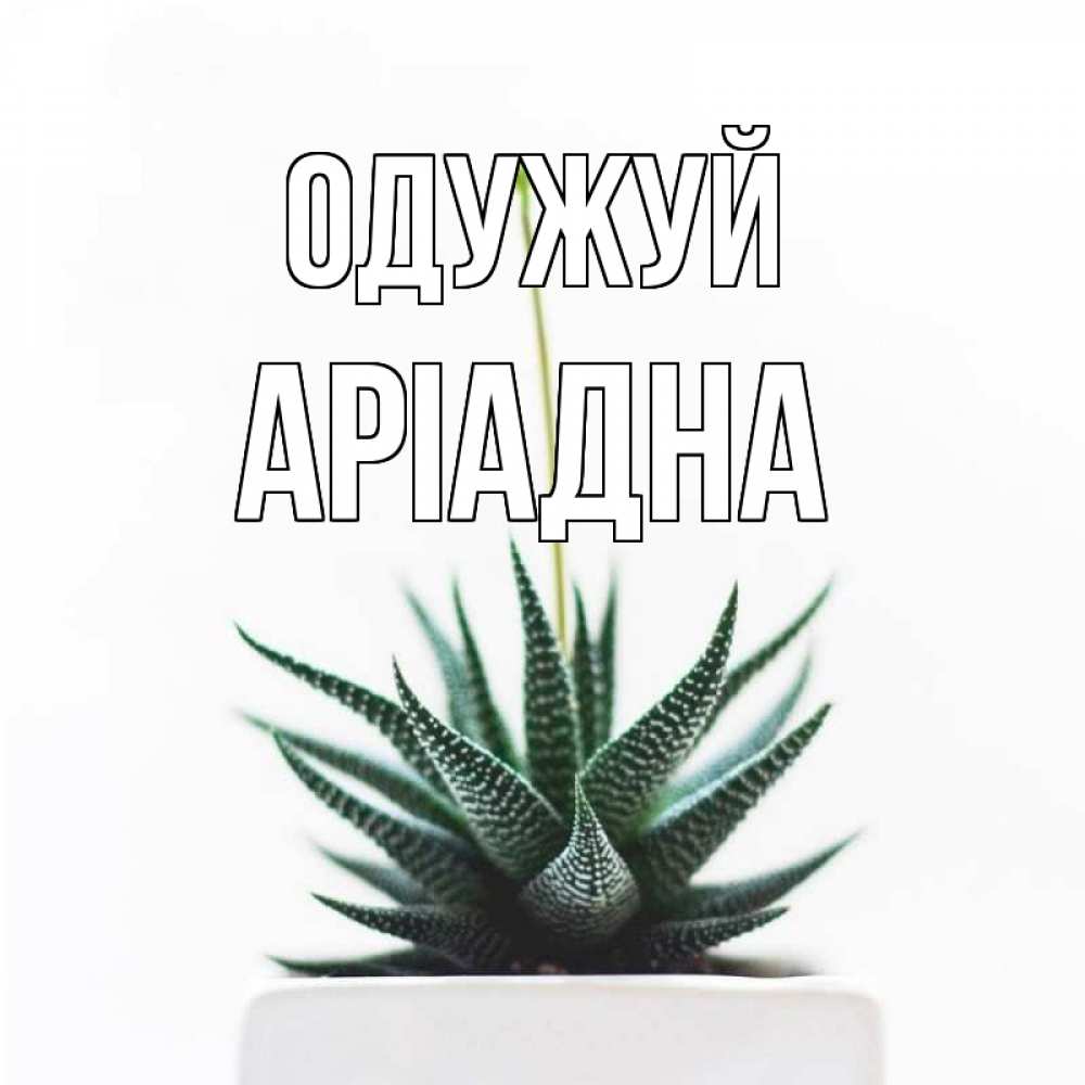 Открытка на каждый день з підписом, Аріадна Одужуй короче это непонятная колючка Прикольна листівка з побажанням онлайн скачати безкоштовно 
