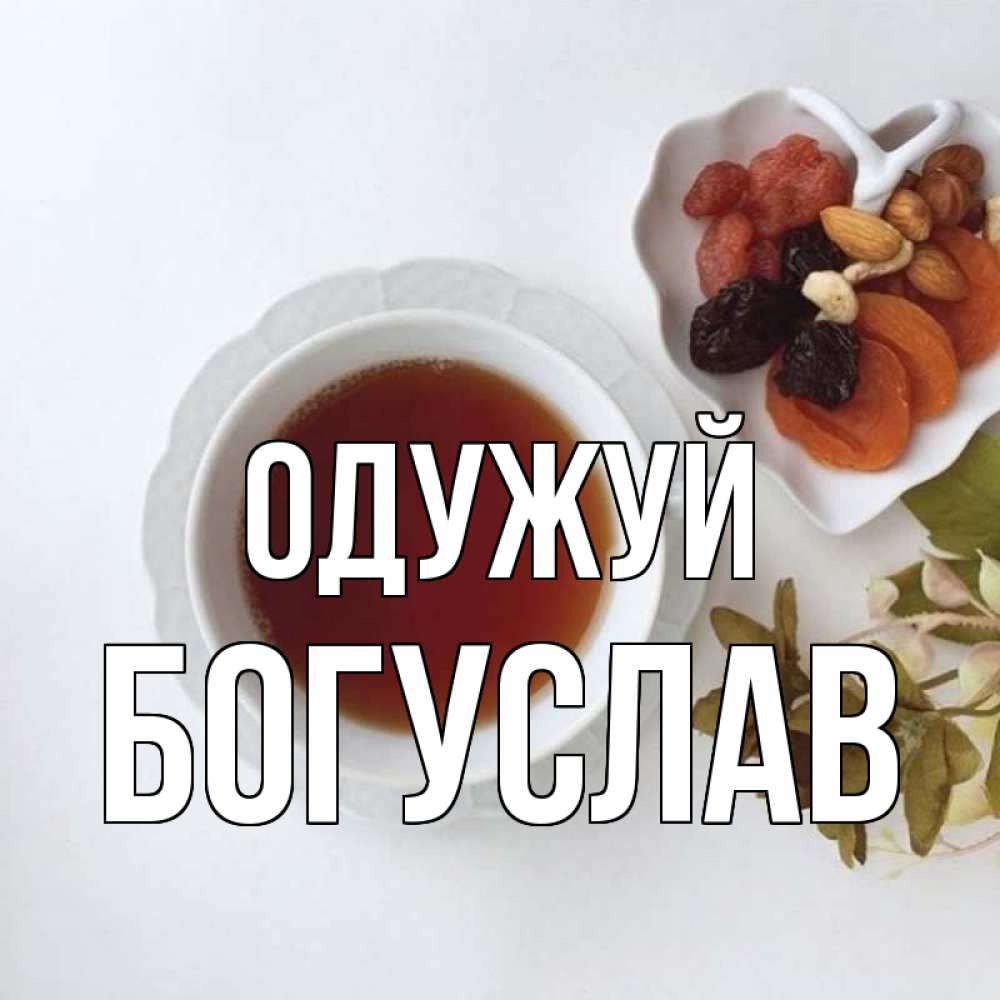 Открытка на каждый день з підписом, Богуслав Одужуй неизвестные растения Прикольна листівка з побажанням онлайн скачати безкоштовно 