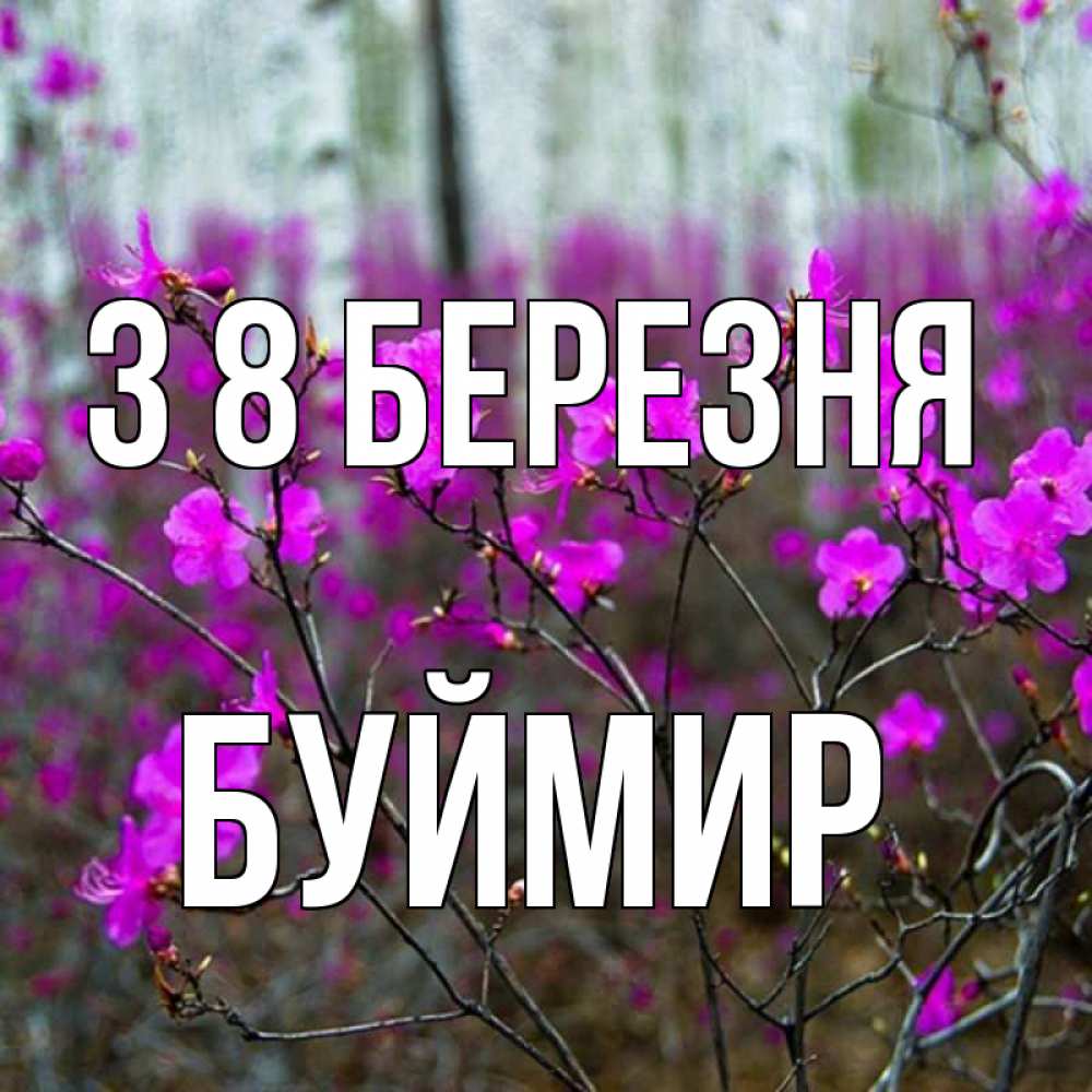 Открытка на каждый день з підписом, Буймир З 8 БЕРЕЗНЯ дикие цветы Прикольна листівка з побажанням онлайн скачати безкоштовно 