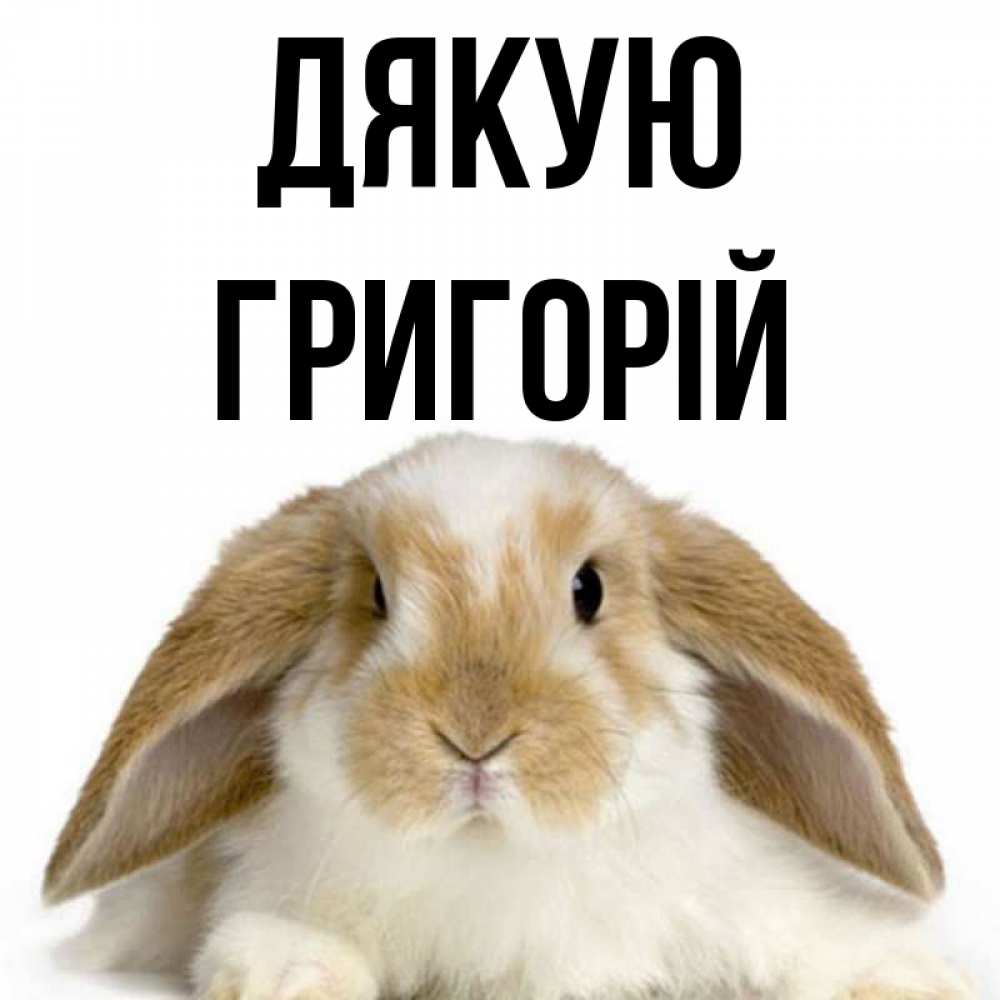 Открытка на каждый день з підписом, Григорій Дякую коричнево белый заяц Прикольна листівка з побажанням онлайн скачати безкоштовно 