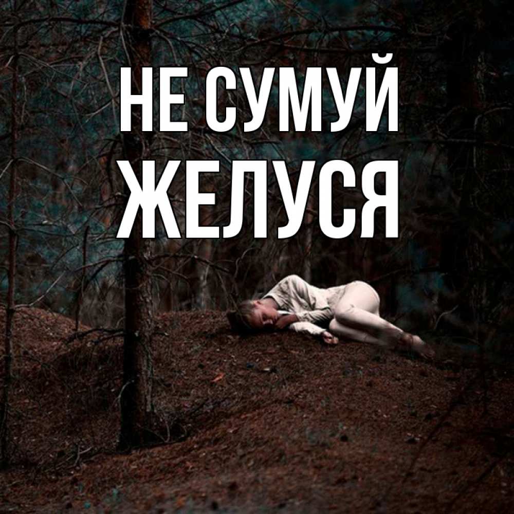 Открытка на каждый день з підписом, Желуся Не сумуй лес Прикольна листівка з побажанням онлайн скачати безкоштовно 
