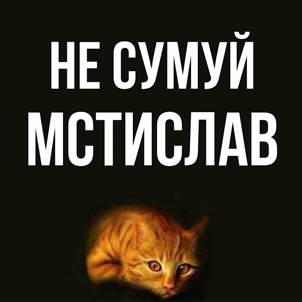 Открытка на каждый день з підписом, Мстислав Не сумуй лежащий кот в темноте Прикольна листівка з побажанням онлайн скачати безкоштовно 
