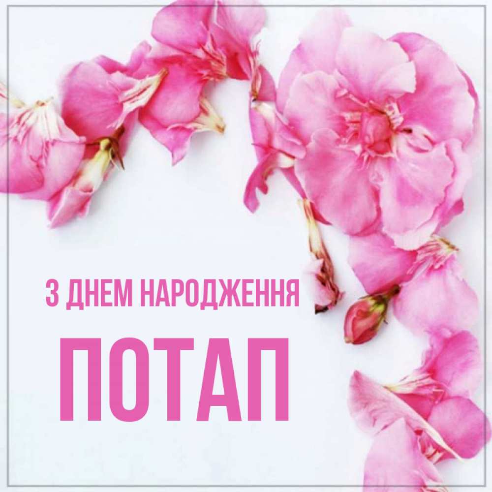 Открытка на каждый день з підписом, Потап З Днем народження Красивая открытка для поздравления с днем рождения Прикольна листівка з побажанням онлайн скачати безкоштовно 