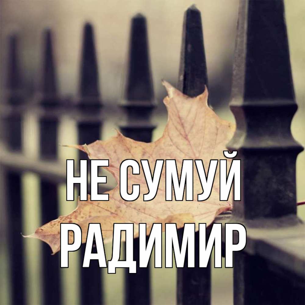 Открытка на каждый день з підписом, Радимир Не сумуй лист клена Прикольна листівка з побажанням онлайн скачати безкоштовно 