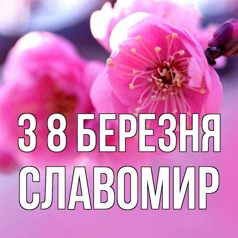 Открытка на каждый день з підписом, Славомир З 8 БЕРЕЗНЯ международный женский день Прикольна листівка з побажанням онлайн скачати безкоштовно 