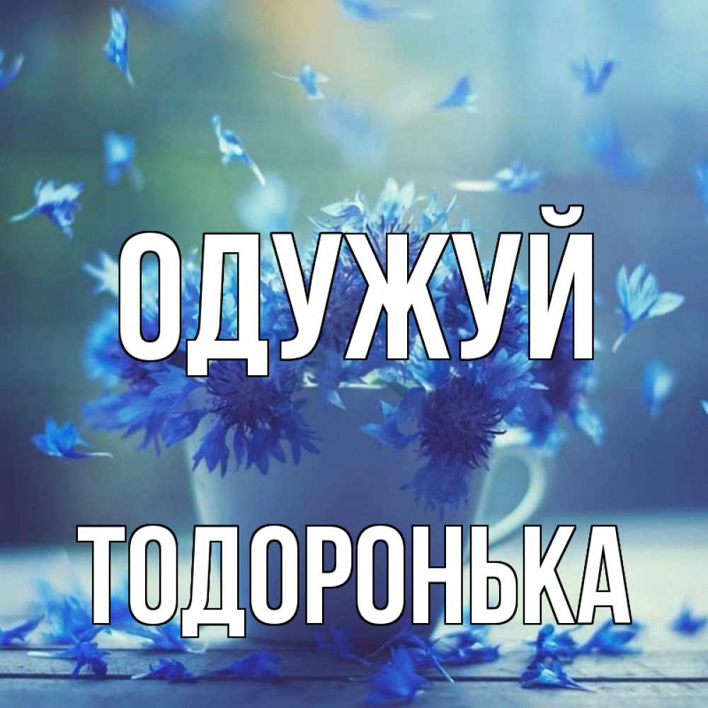 Открытка на каждый день з підписом, Тодоронька Одужуй кружка с зельем и цветами Прикольна листівка з побажанням онлайн скачати безкоштовно 