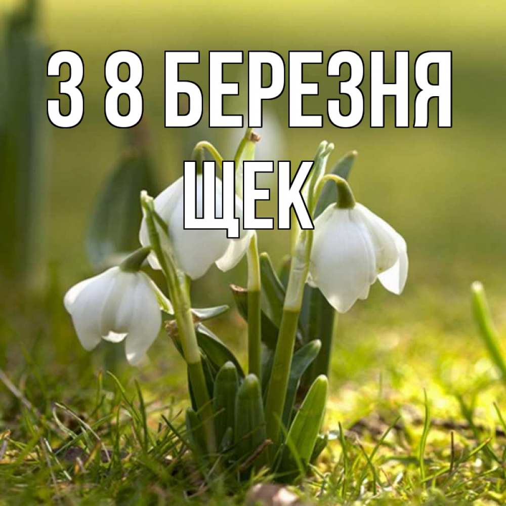 Открытка на каждый день з підписом, Щек З 8 БЕРЕЗНЯ ранние цветы 2 Прикольна листівка з побажанням онлайн скачати безкоштовно 