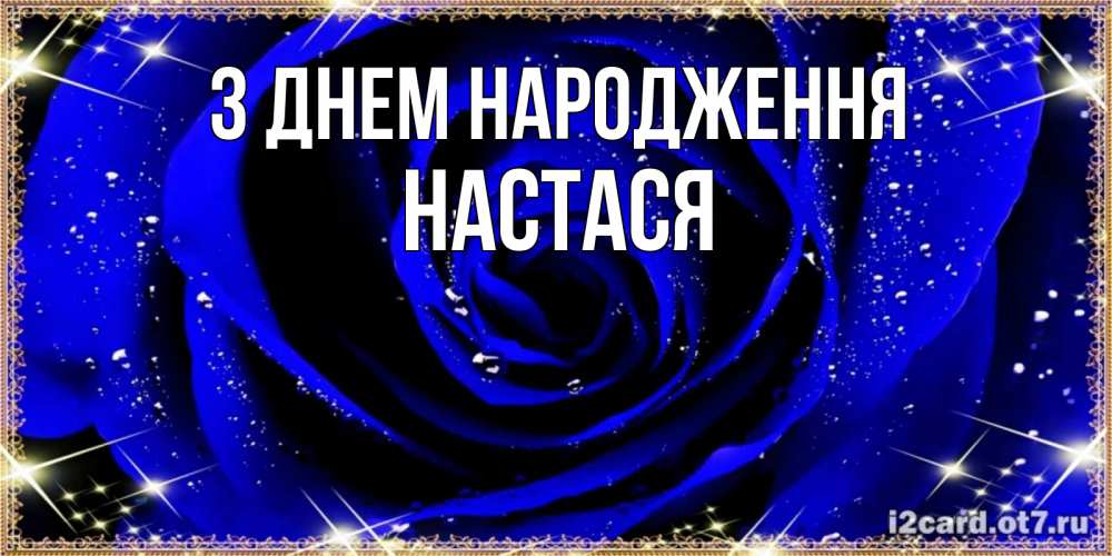 Открытка на каждый день з підписом, Настася З Днем народження голубые цветы в росе Прикольна листівка з побажанням онлайн скачати безкоштовно 