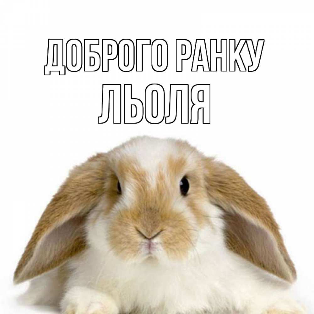 Открытка на каждый день з підписом, Льоля Доброго ранку прикольные открытки на каждый день Прикольна листівка з побажанням онлайн скачати безкоштовно 