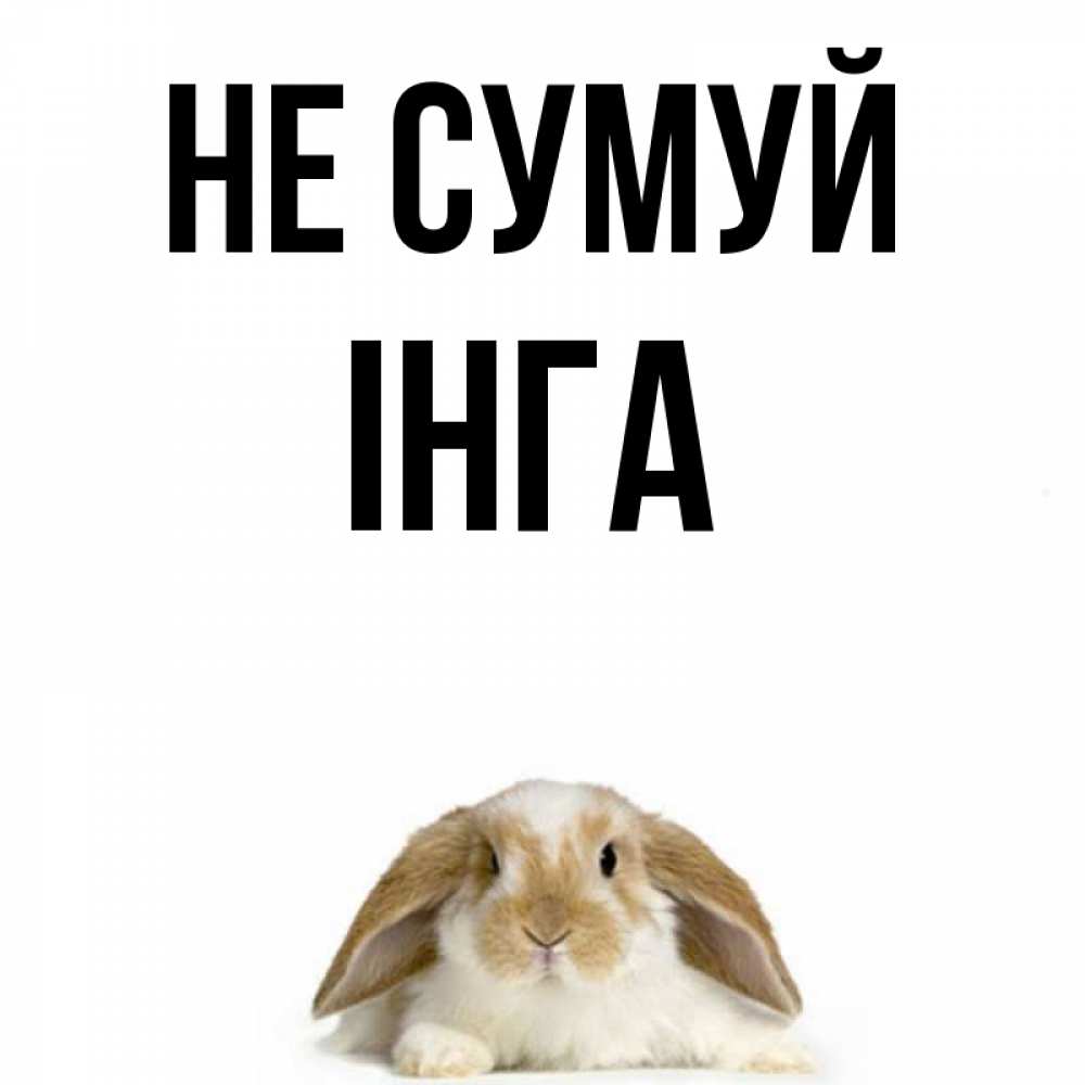 Открытка на каждый день з підписом, Інга Не сумуй коричнево белый заяц с большими ушками Прикольна листівка з побажанням онлайн скачати безкоштовно 