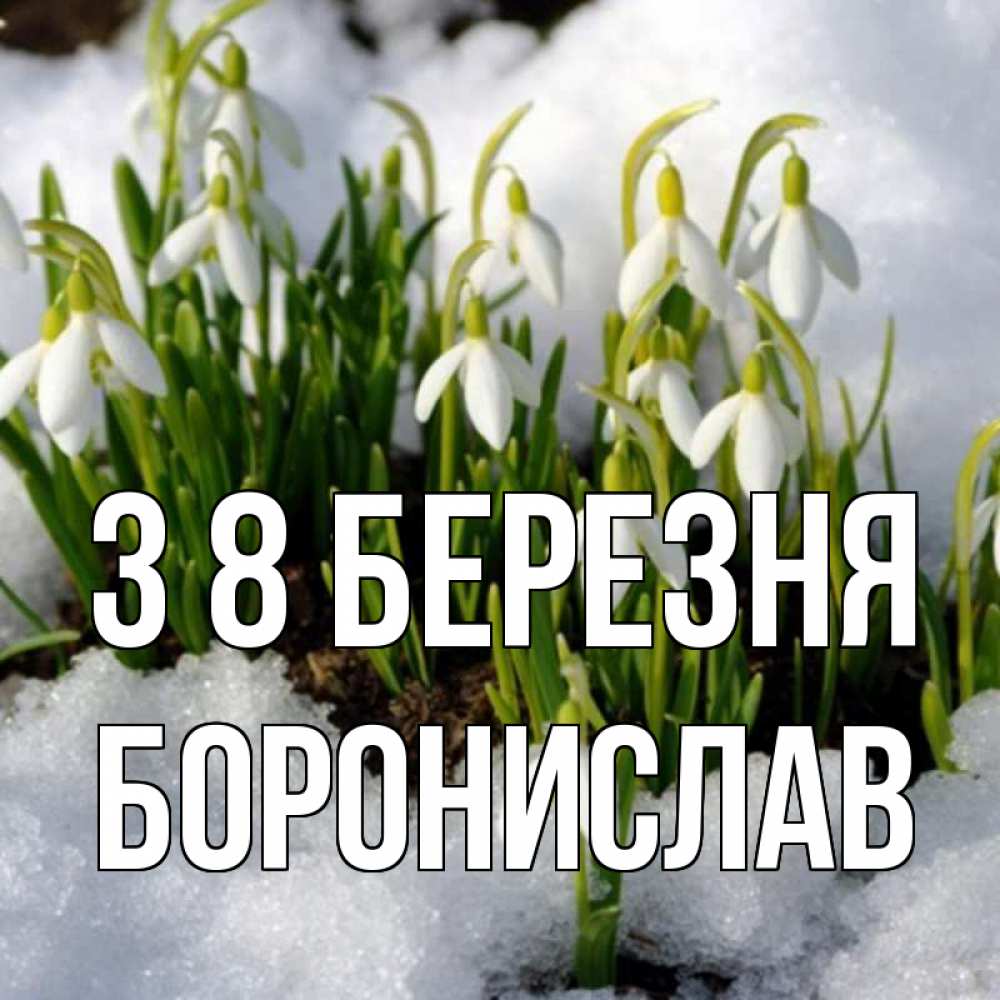 Открытка на каждый день з підписом, Боронислав З 8 БЕРЕЗНЯ цветы весенние Прикольна листівка з побажанням онлайн скачати безкоштовно 