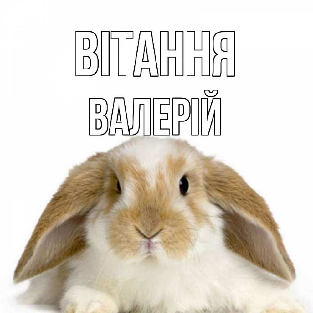 Открытка на каждый день з підписом, Валерій Вітання с животными Прикольна листівка з побажанням онлайн скачати безкоштовно 