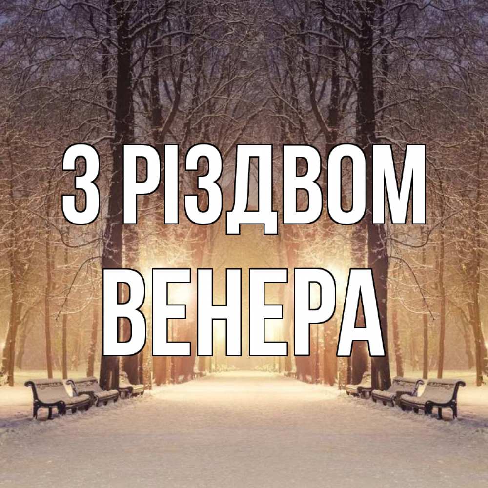 Открытка на каждый день з підписом, Венера З Різдвом зима, парк, фонарь, лес Прикольна листівка з побажанням онлайн скачати безкоштовно 