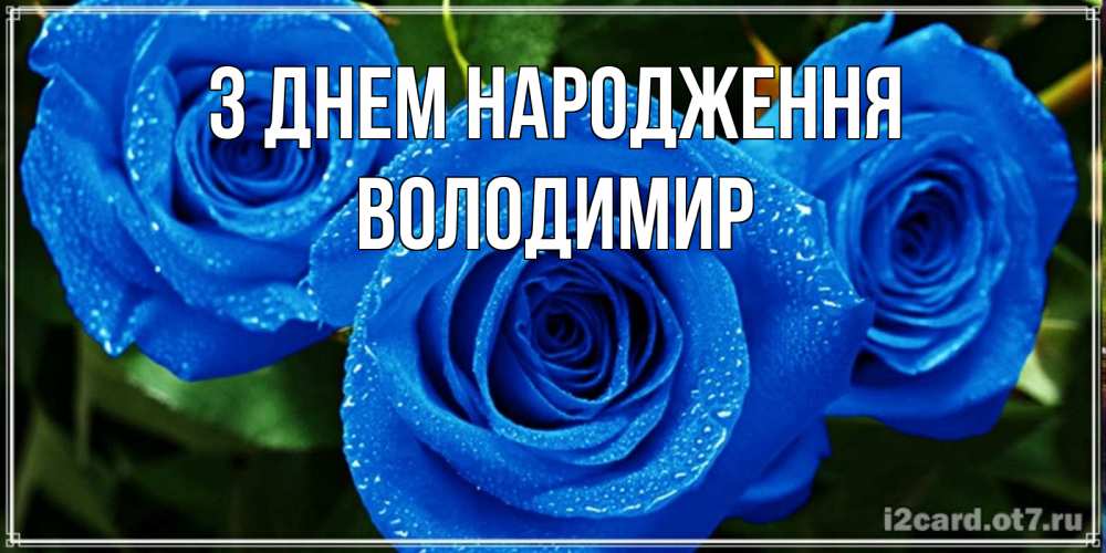 Открытка на каждый день з підписом, Володимир З Днем народження розы с синим цветом Прикольна листівка з побажанням онлайн скачати безкоштовно 