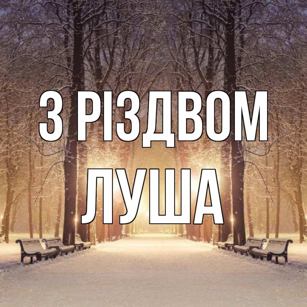 Открытка на каждый день з підписом, Луша З Різдвом зима, парк, фонарь, лес Прикольна листівка з побажанням онлайн скачати безкоштовно 