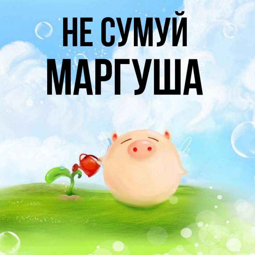 Открытка на каждый день з підписом, Маргуша Не сумуй поливает цветок порося Прикольна листівка з побажанням онлайн скачати безкоштовно 