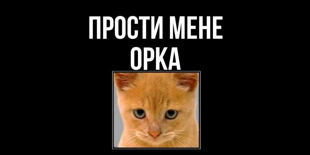 Открытка на каждый день з підписом, Орка Прости мене рыжий грустный кот просит прощения Прикольна листівка з побажанням онлайн скачати безкоштовно 