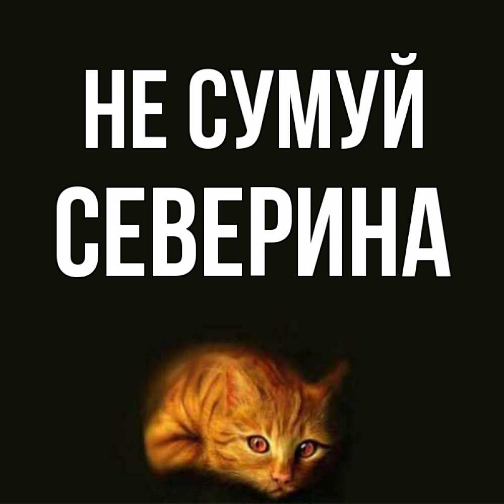 Открытка на каждый день з підписом, Северина Не сумуй лежащий кот в темноте Прикольна листівка з побажанням онлайн скачати безкоштовно 