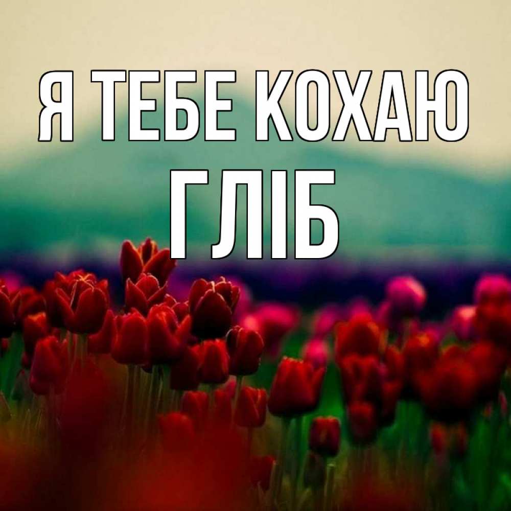 Открытка на каждый день з підписом, Гліб Я тебе кохаю тюльпаны 4 Прикольна листівка з побажанням онлайн скачати безкоштовно 