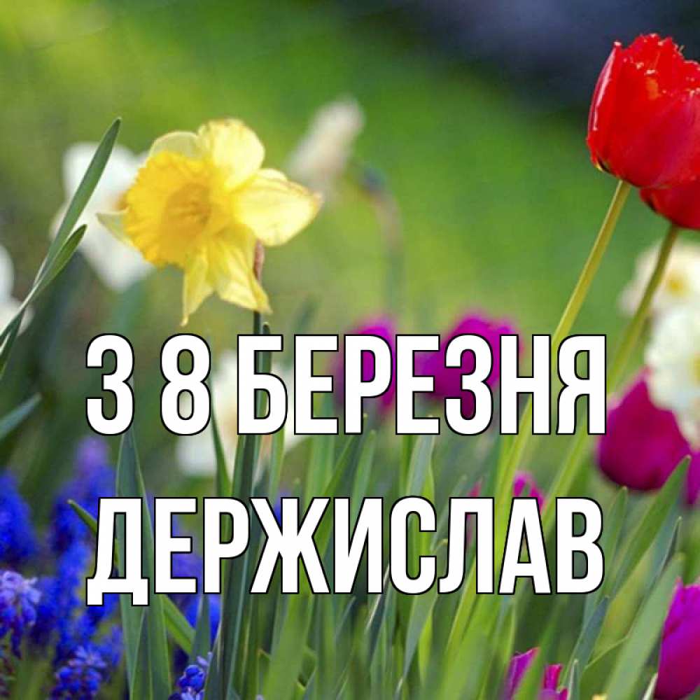 Открытка на каждый день з підписом, Держислав З 8 БЕРЕЗНЯ международный женский день 3 Прикольна листівка з побажанням онлайн скачати безкоштовно 