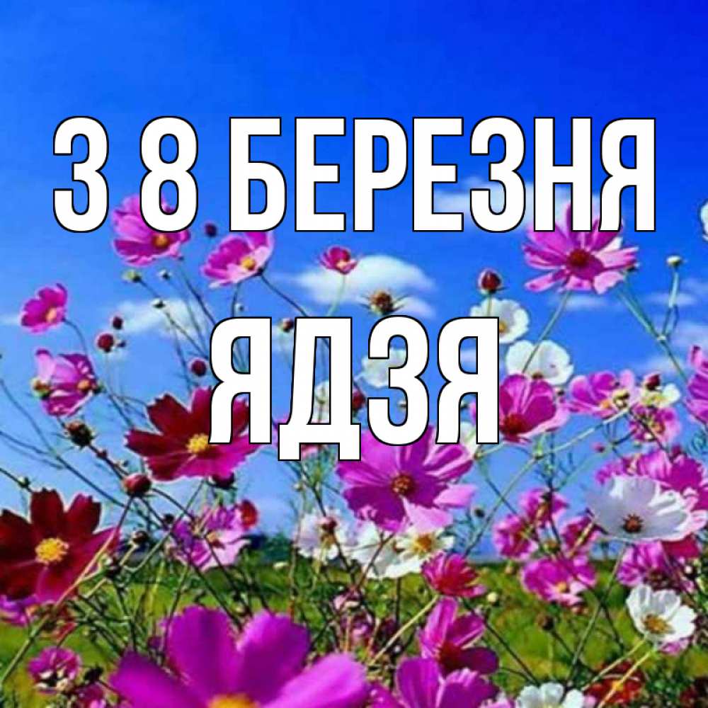 Открытка на каждый день з підписом, Ядзя З 8 БЕРЕЗНЯ цветы Прикольна листівка з побажанням онлайн скачати безкоштовно 