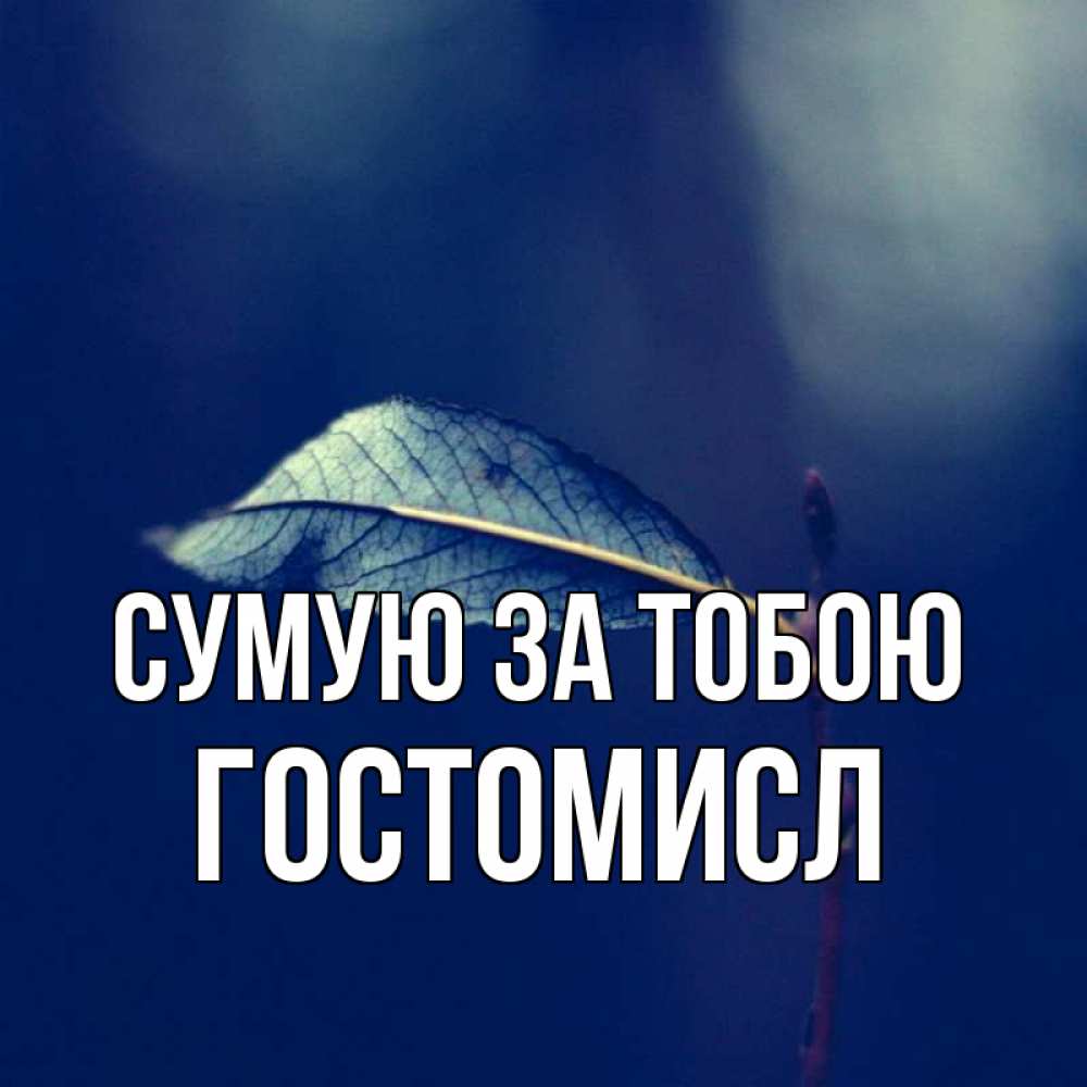 Открытка на каждый день з підписом, Гостомисл Сумую за тобою одна ветка 1 Прикольна листівка з побажанням онлайн скачати безкоштовно 
