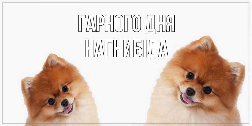 Открытка на каждый день з підписом, Нагнибіда Гарного дня собачки желают прекрасного дня Прикольна листівка з побажанням онлайн скачати безкоштовно 