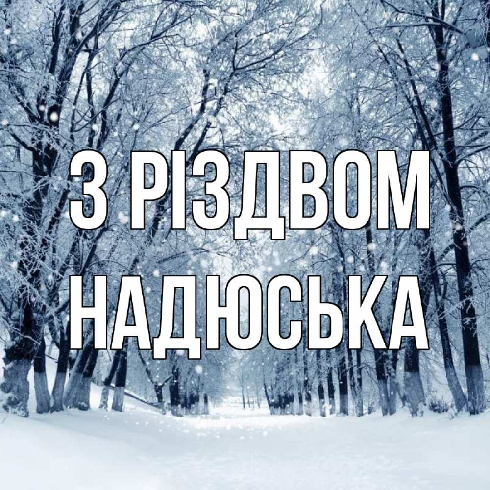 Открытка на каждый день з підписом, Надюська З Різдвом снег, лес, парк Прикольна листівка з побажанням онлайн скачати безкоштовно 