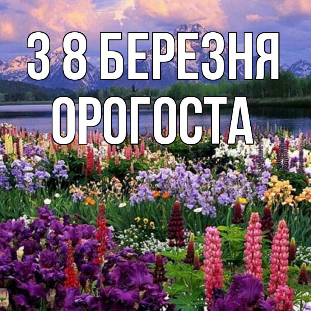Открытка на каждый день з підписом, Орогоста З 8 БЕРЕЗНЯ международный женский день Прикольна листівка з побажанням онлайн скачати безкоштовно 