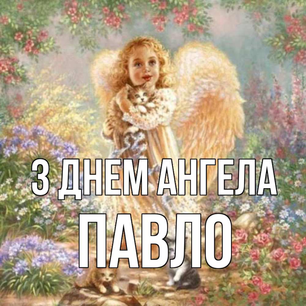 Открытка на каждый день з підписом, Павло З Днем ангела держит котенка Прикольна листівка з побажанням онлайн скачати безкоштовно 